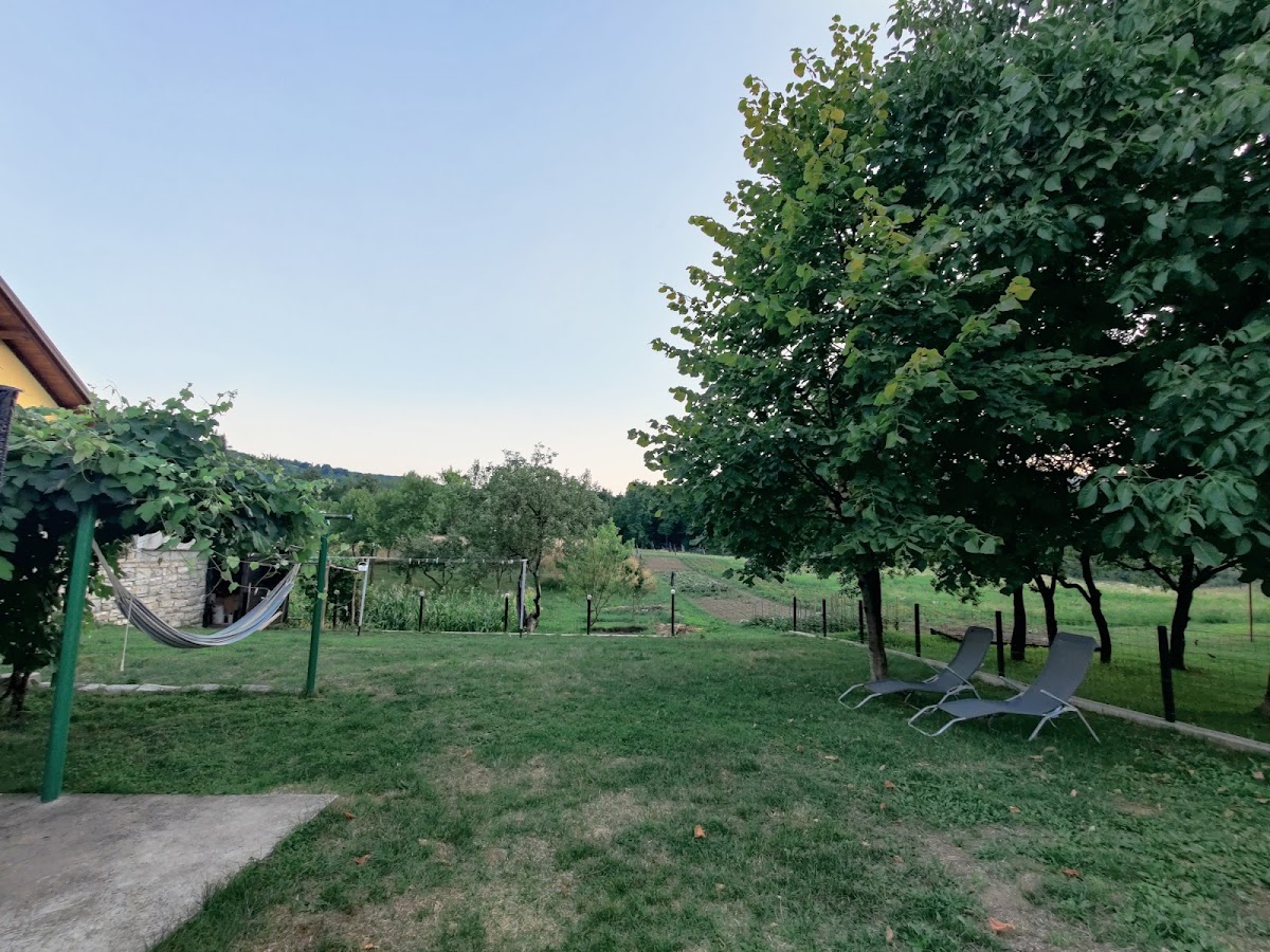 Apartment & Room TOMA - photo 5