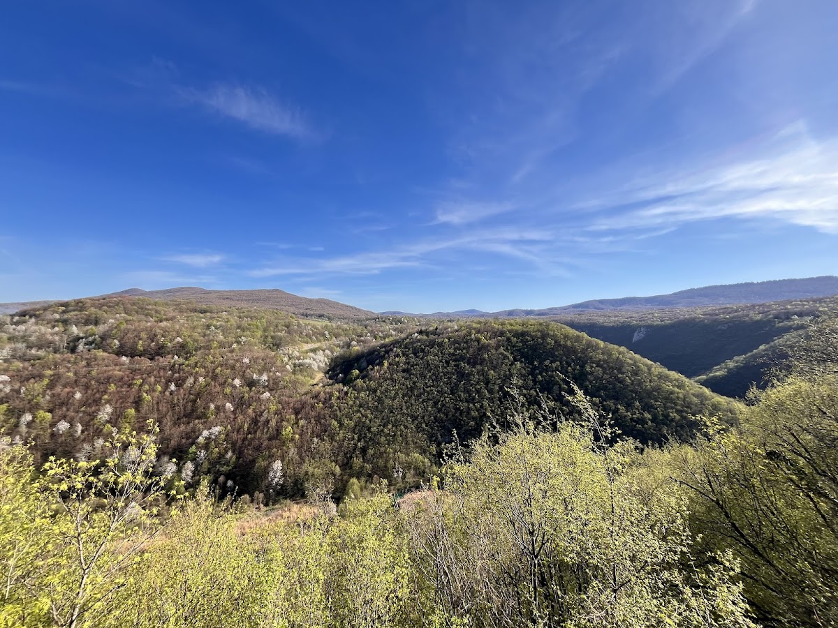 Apartment Milka - photo 5