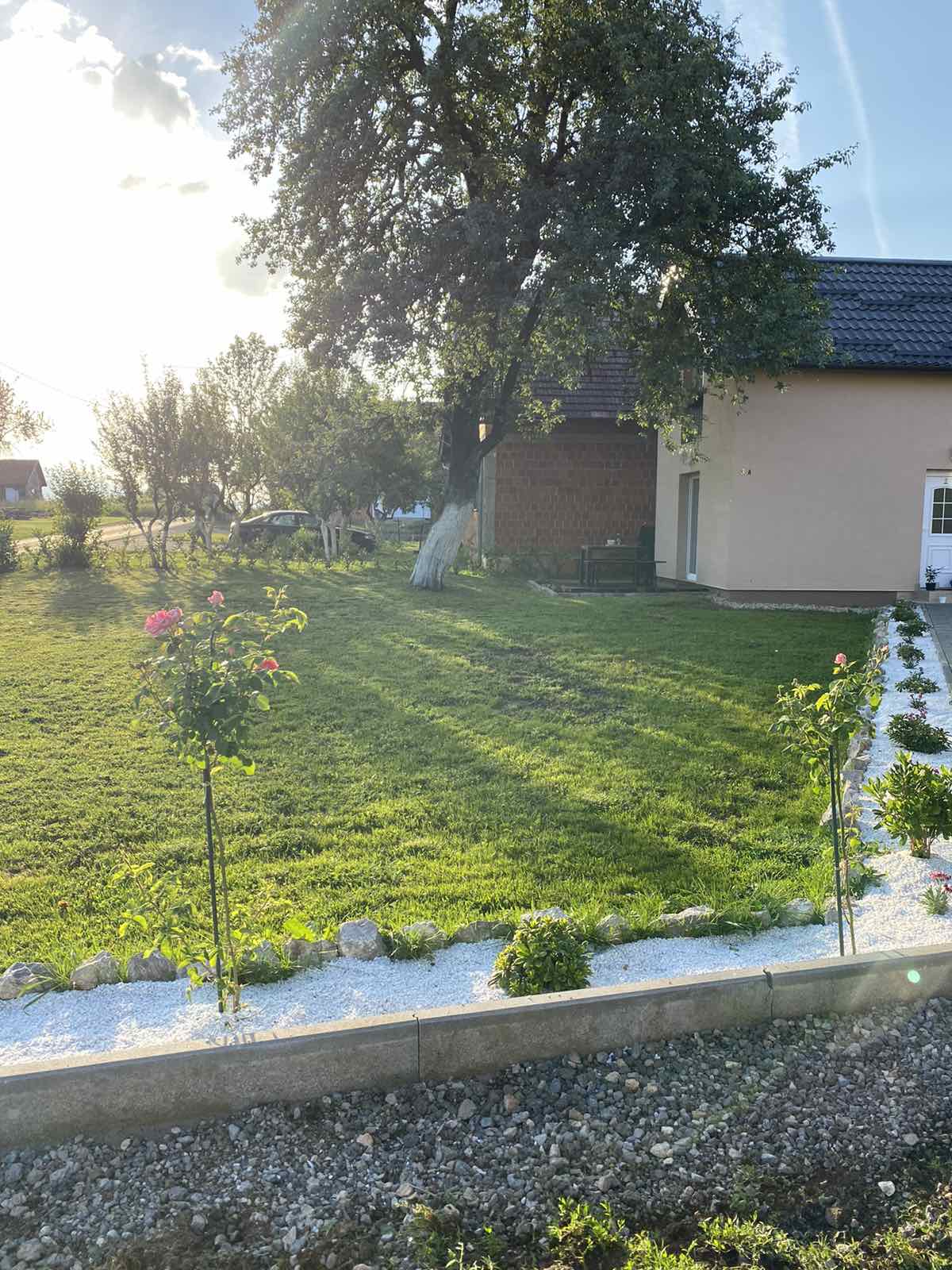 Apartments Green Linden - photo 4