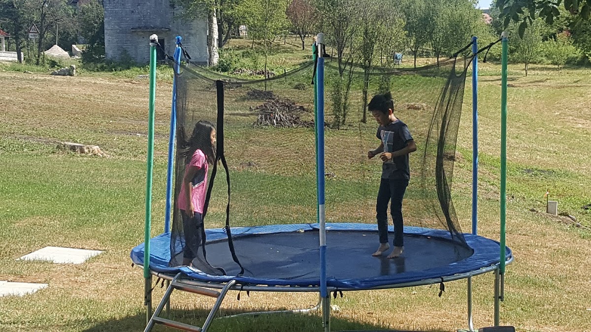 Pansion Venera - photo 5