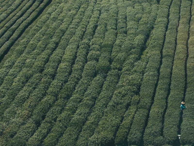 Plitvice Green Apartment - photo 3