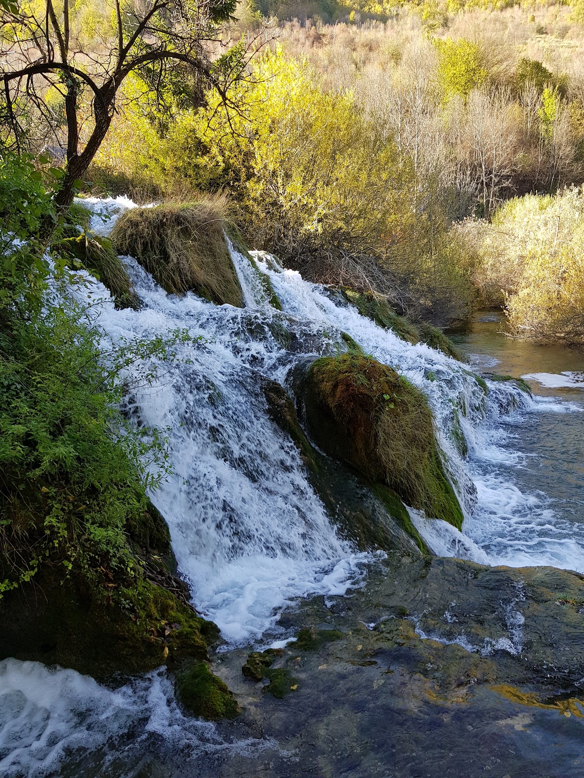 San Korana - photo 4