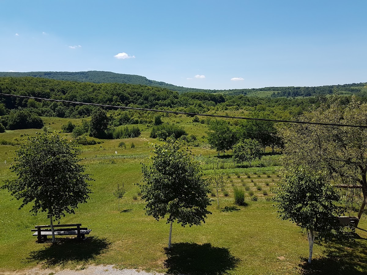 Villa Ruhige Lage - photo 5