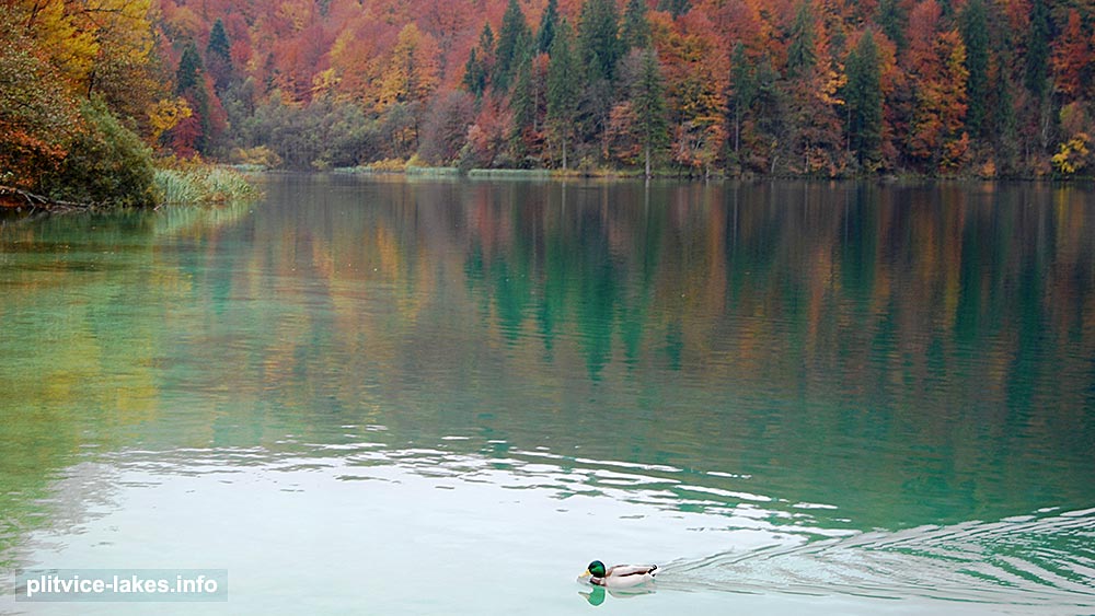 Upper Lakes Walking Route E - photo 5