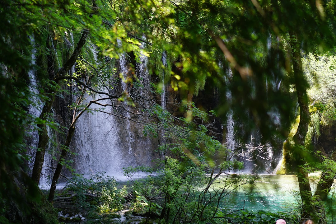 Multiple cascading waterfalls flowing through green forest at Plitvice Lakes