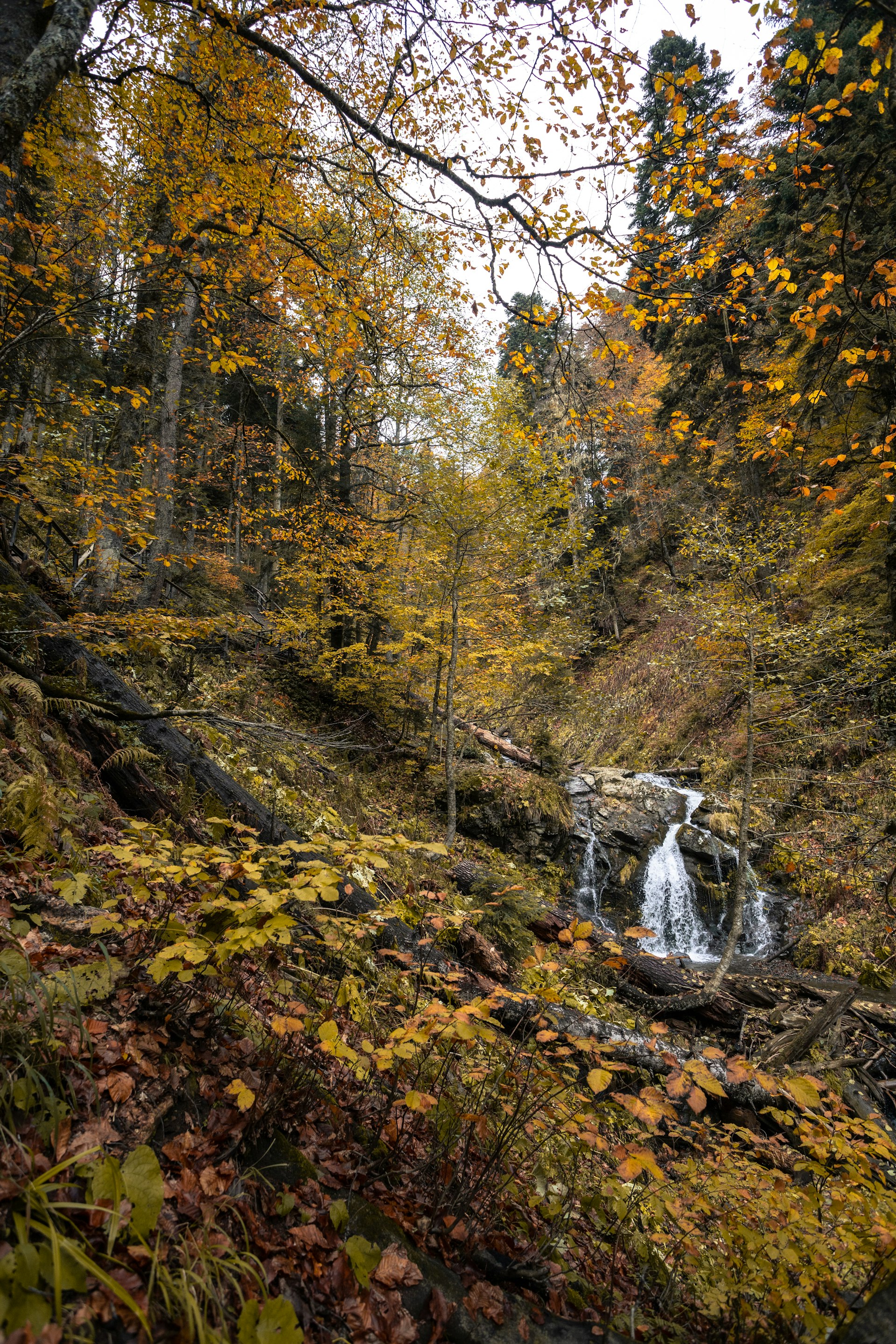 Small waterfall in the middle of autumn forest at Plitvice Lakes
