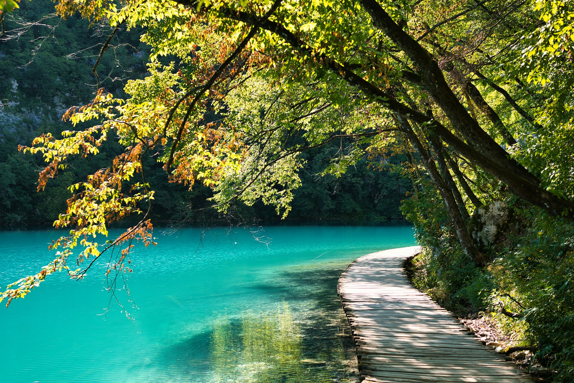 Paved path alongside bright turquoise lake at Plitvice Lakes in autumn