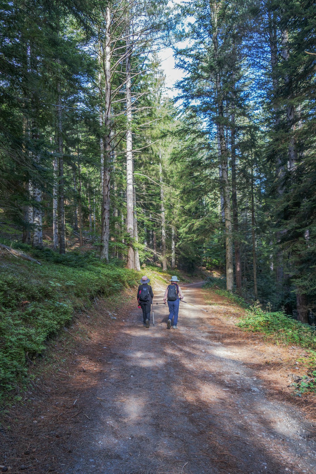 Kids on family nature adventure walk