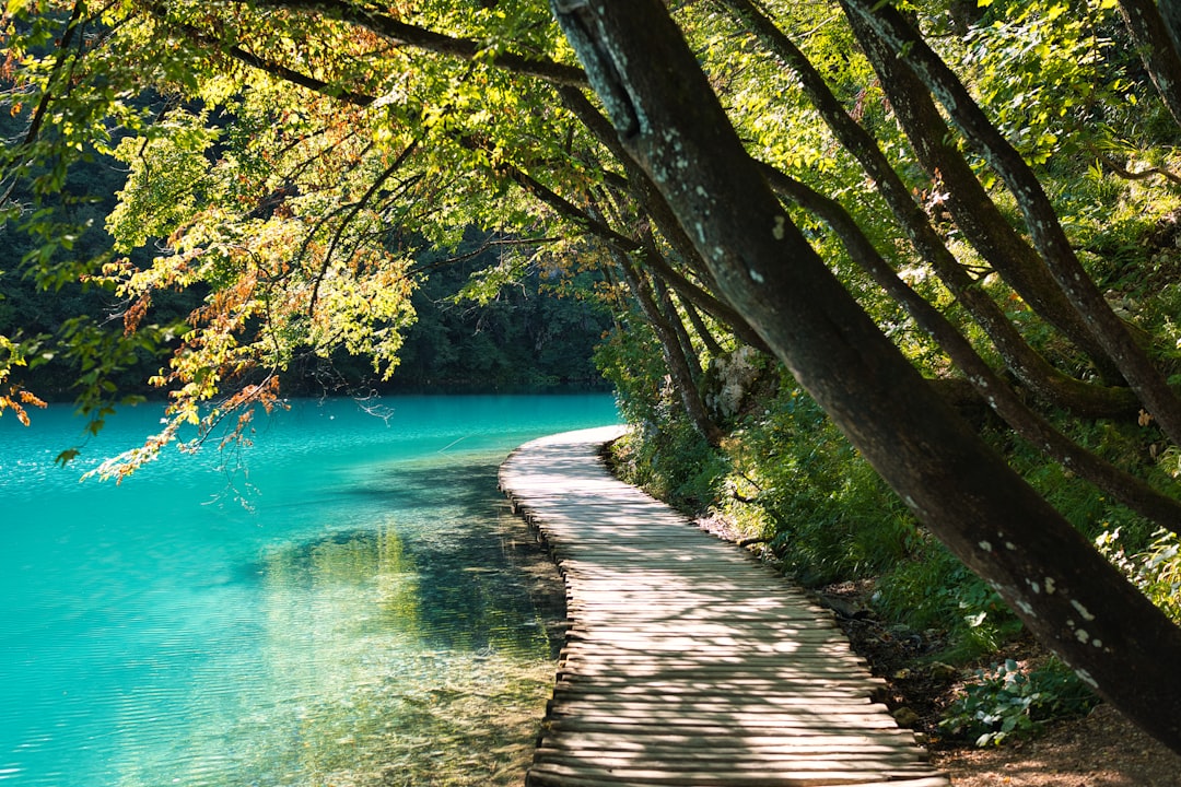 Wooden walkway winding through forest beside turquoise water at Plitvice