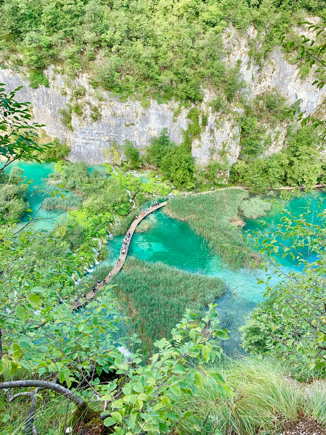 Reflections in turquoise lake water at Plitvice Lakes