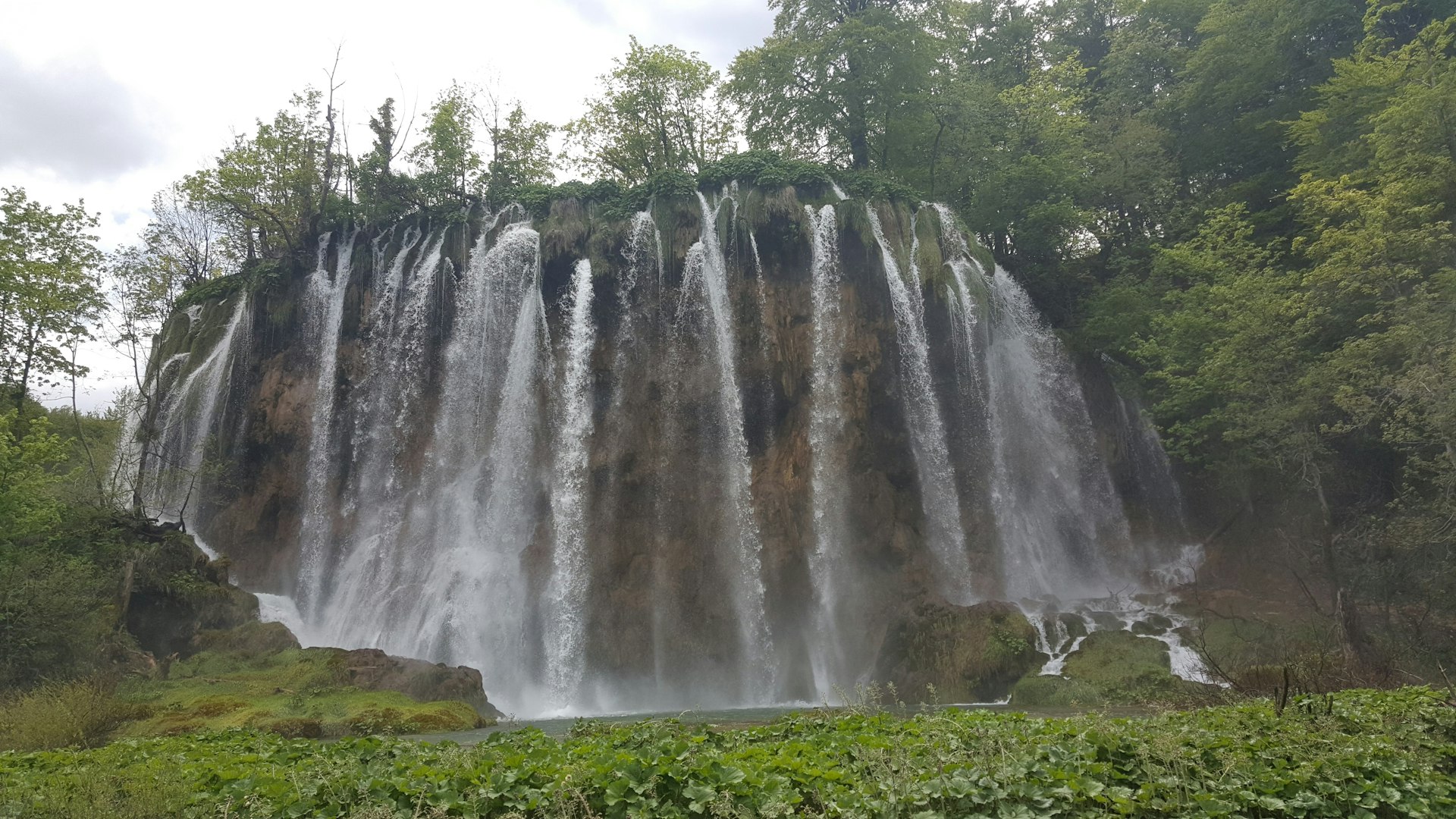 Waterfall cascading through dense spring forest at Plitvice Lakes