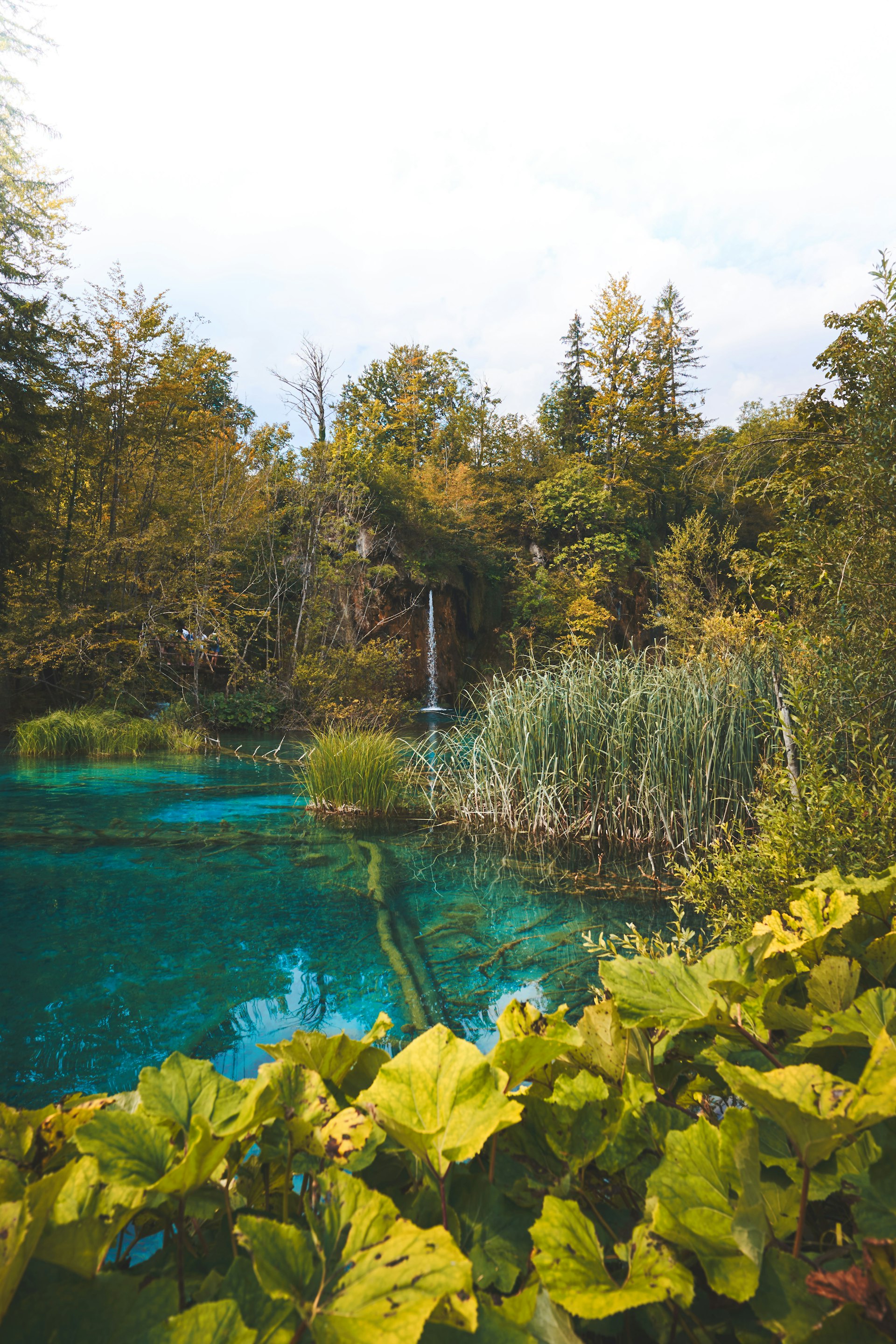 Crystal turquoise water of Plitvice Lakes surrounded by spring vegetation