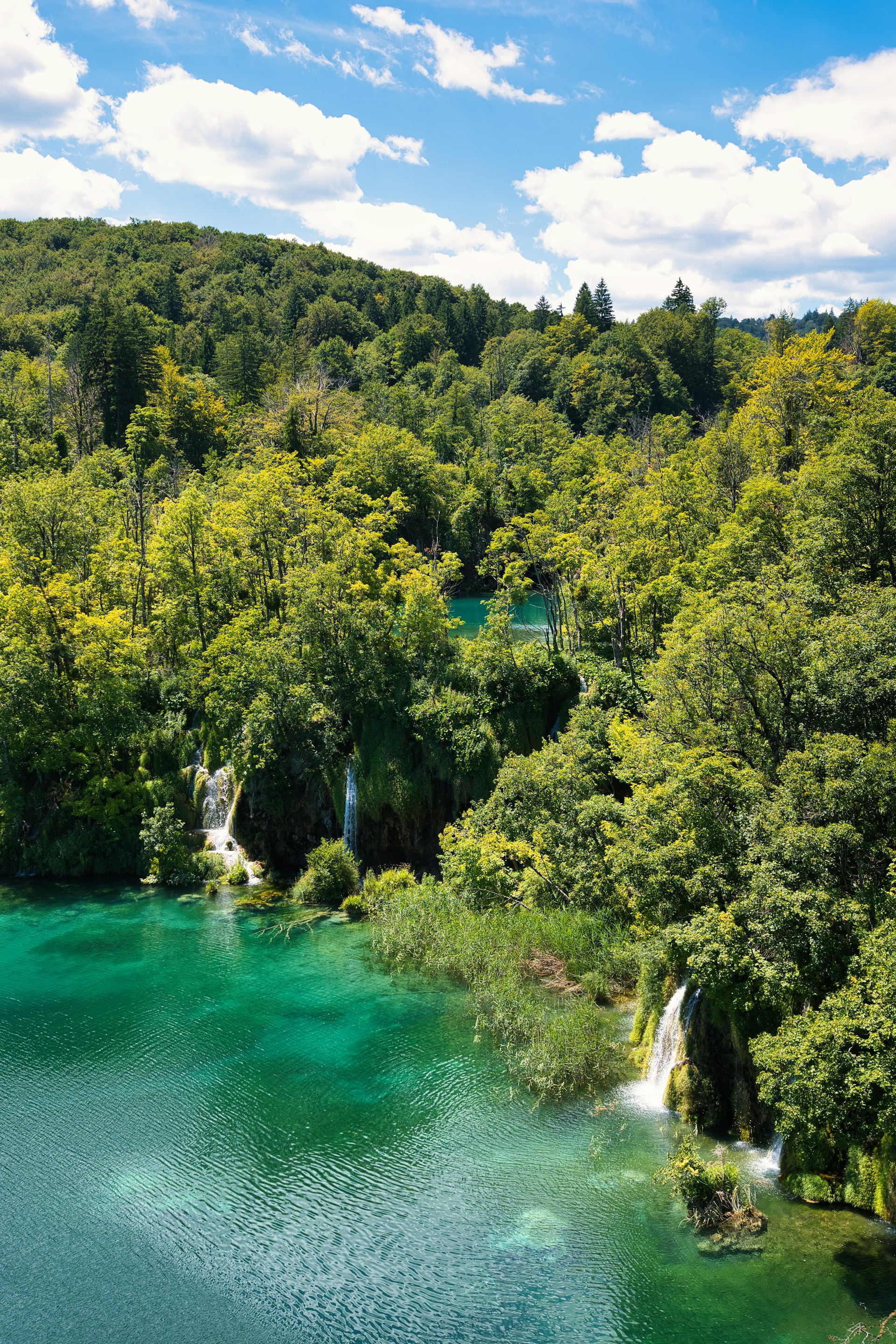 Lush green forest surrounding turquoise water with waterfalls at Plitvice Lakes