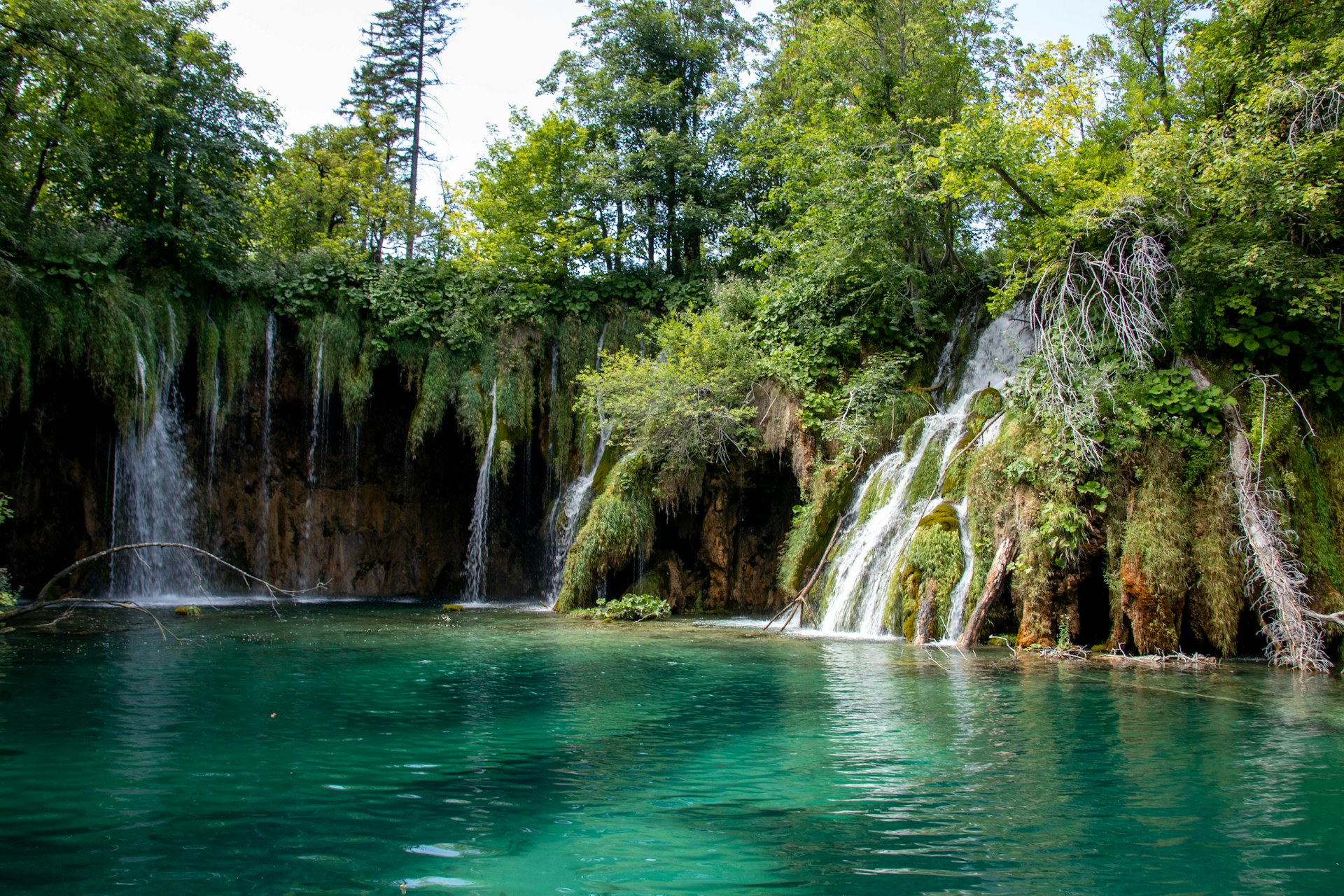 Body of water surrounded by trees and waterfalls at Plitvice Lakes in summer