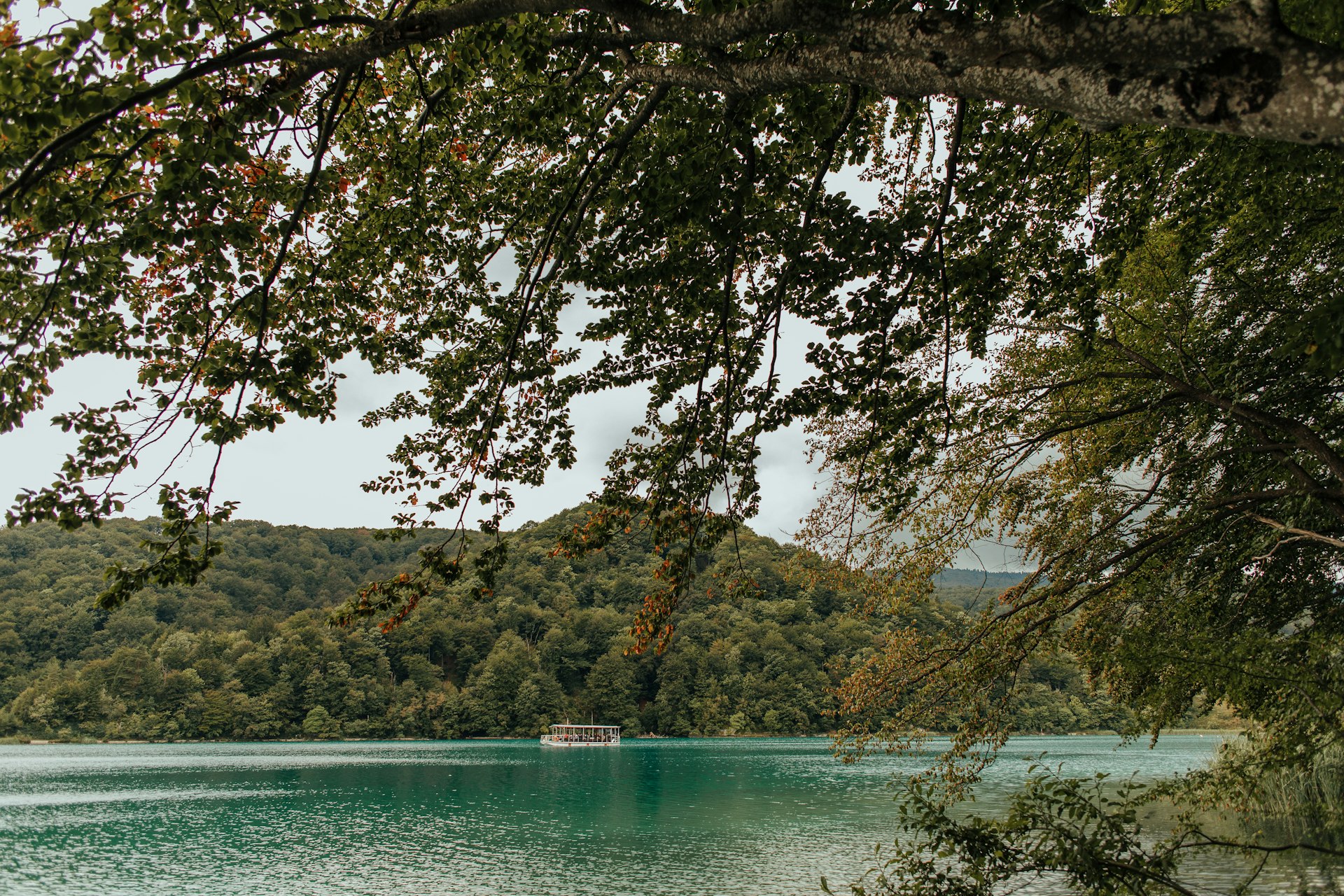 Panoramic view of Plitvice Lakes with boat on turquoise water in summer