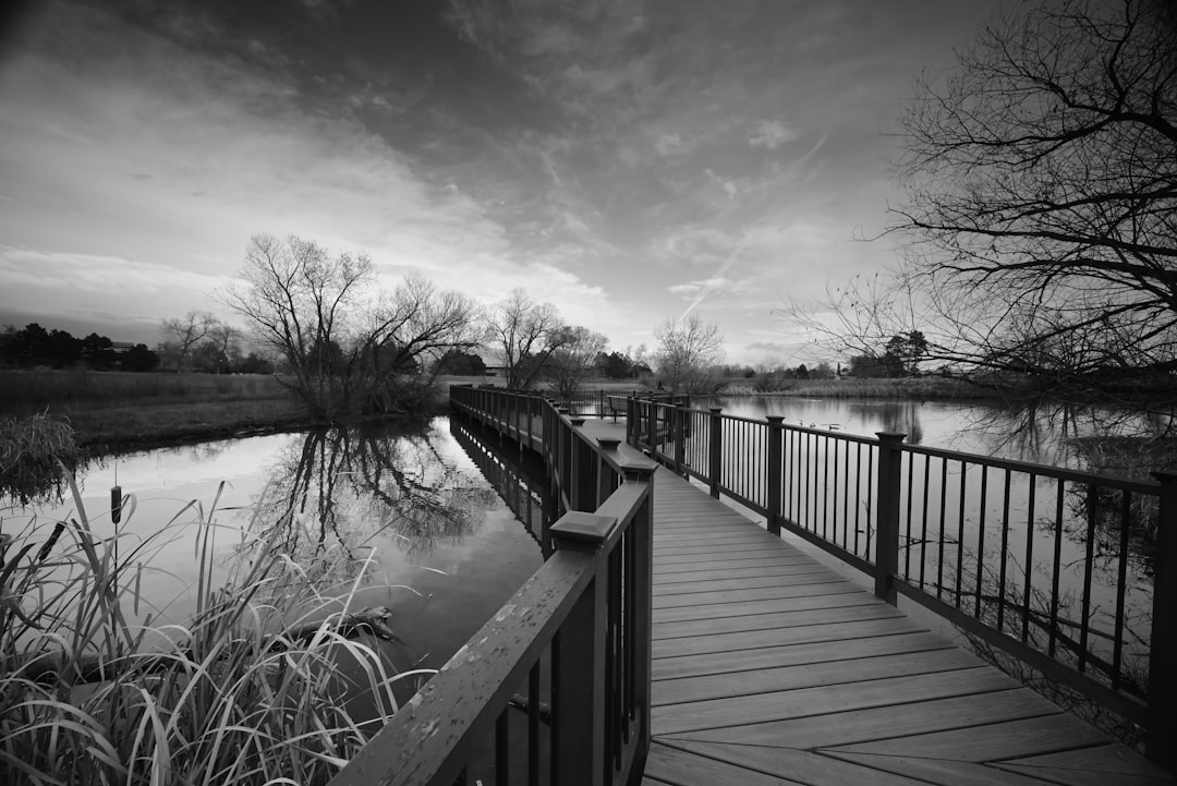 Wide wooden boardwalk path beside lake in nature park