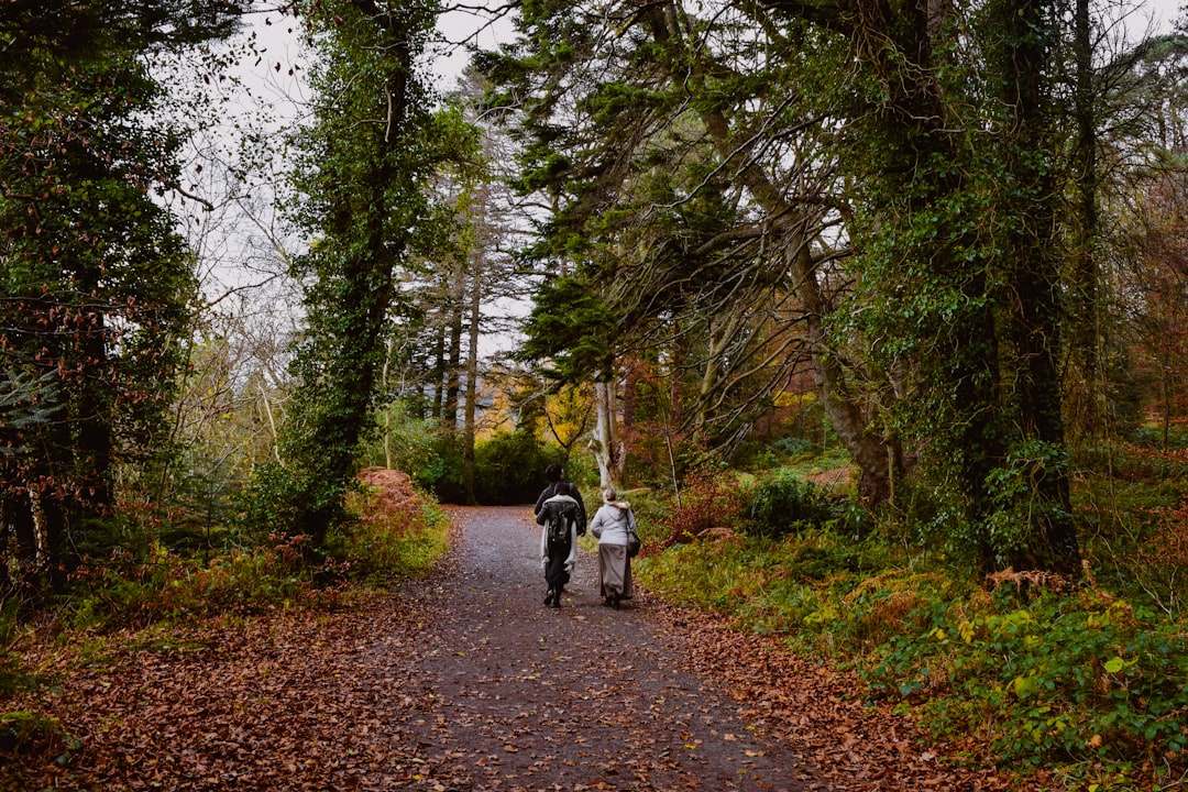 Paved accessible path through green nature park setting