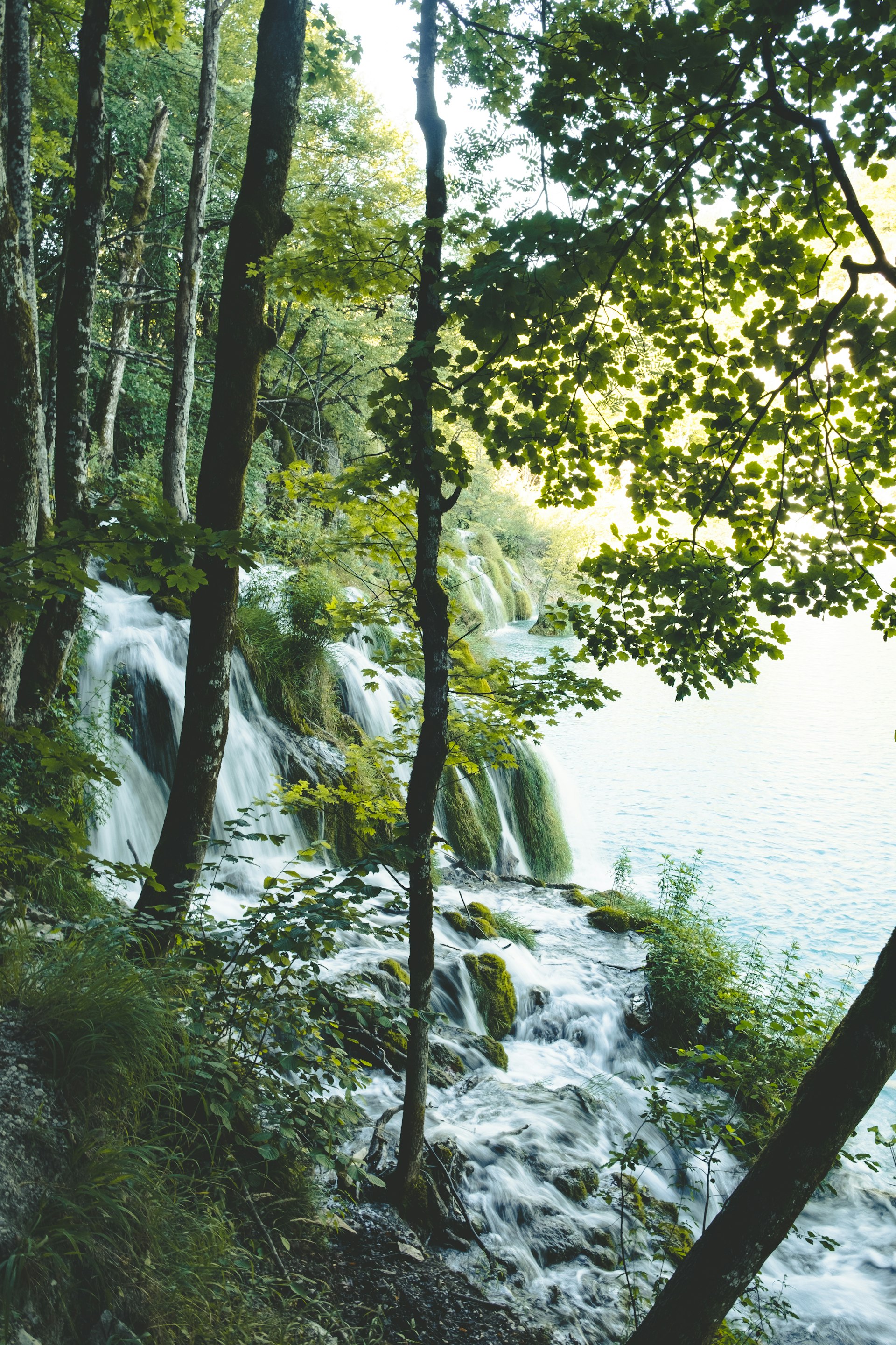 Crystal clear stream water surrounded by green plants at Plitvice Lakes