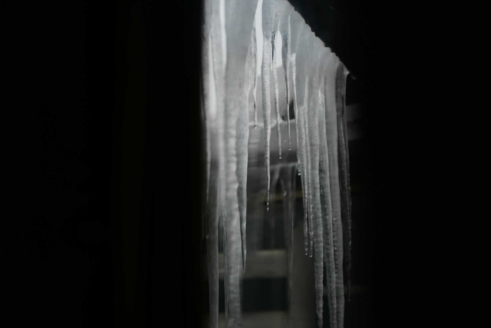 Icicles hanging from rock formations in winter