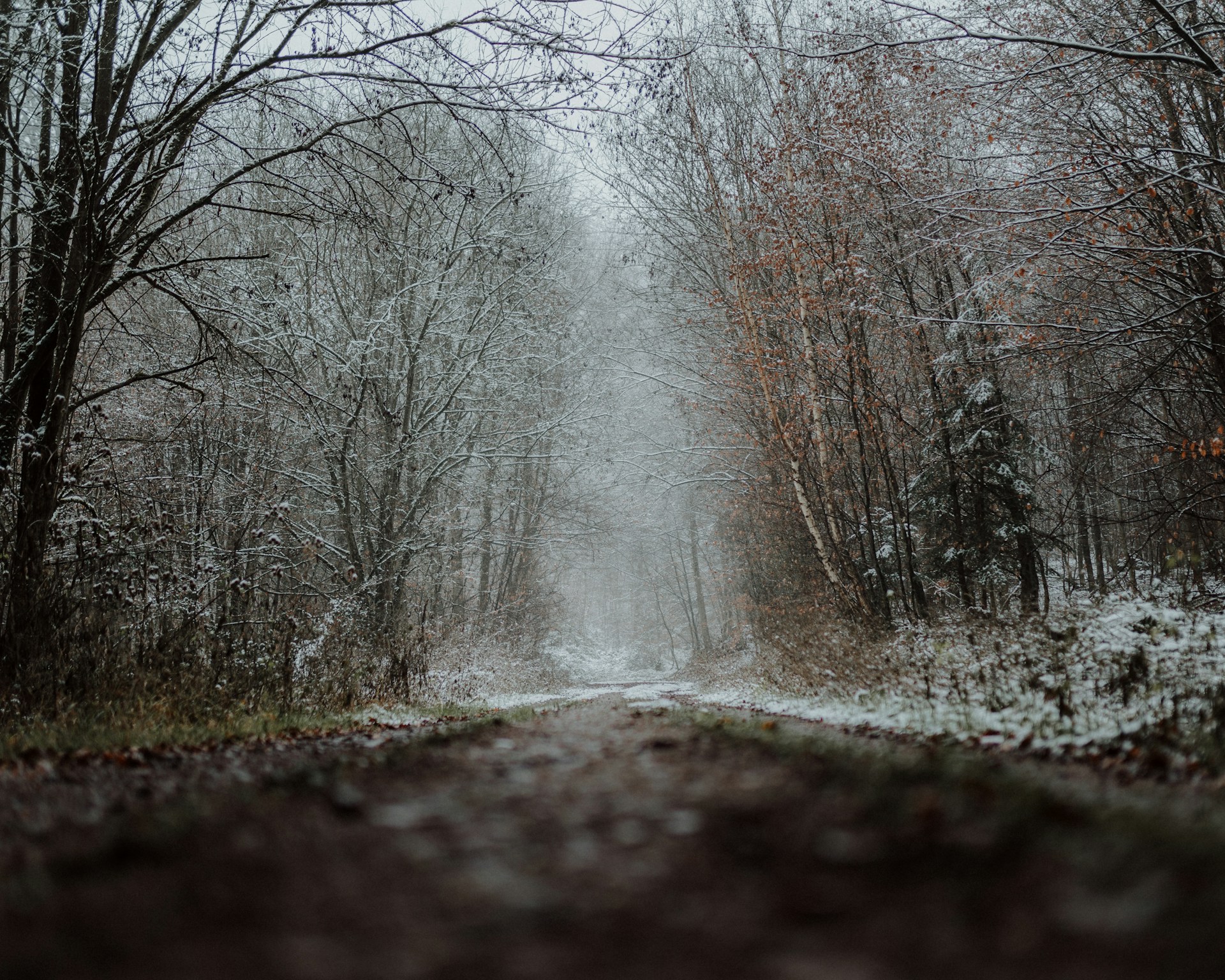 Snow-covered forest trail in winter requiring proper winter gear