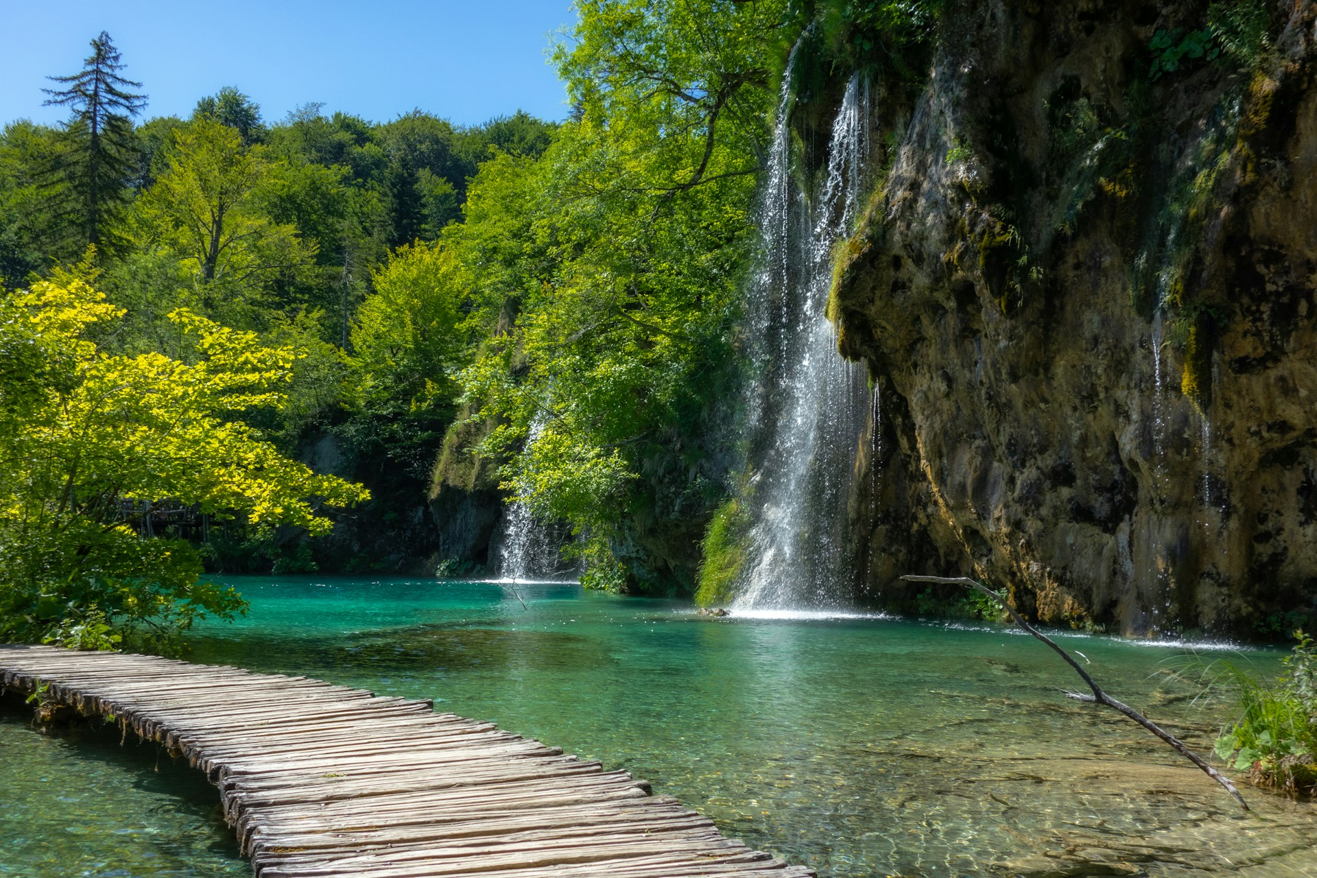 Wooden boardwalk winding through peaceful forest at Plitvice Lakes