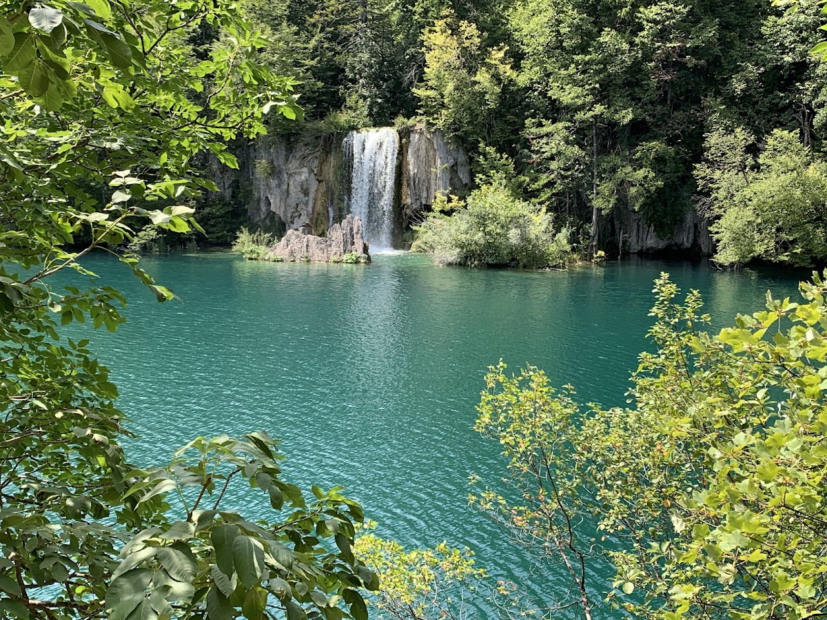 Hiking trail through dense green forest at Plitvice Lakes National Park