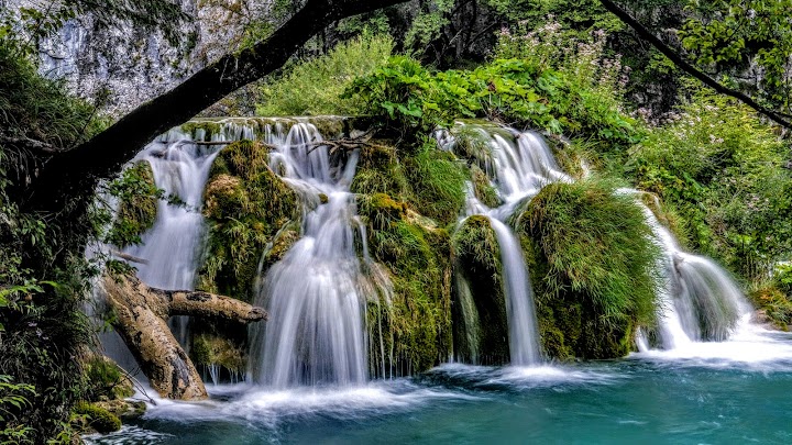 Family enjoying outdoor nature park visit together