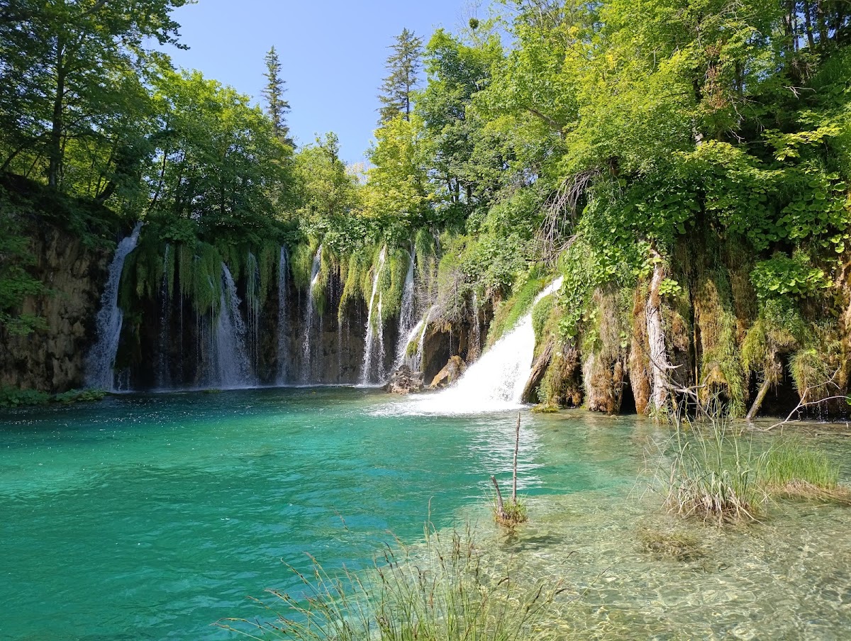 Visitors walking on wooden boardwalk over turquoise lake water in summer at Plitvice