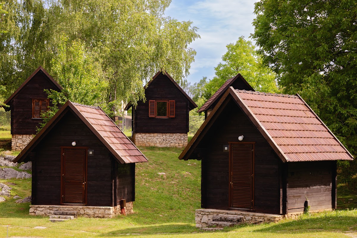 Outdoor morning scene at campsite in forest